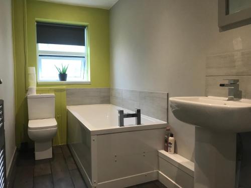 a bathroom with a sink and a toilet at Upper Howick Hideaway in Alnwick