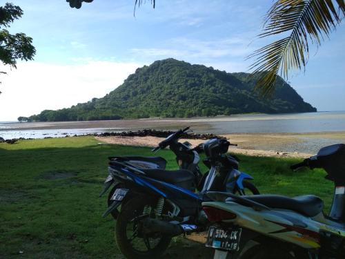 two motorcycles parked on the grass near the water at Homestay Buang Sari in Gresik