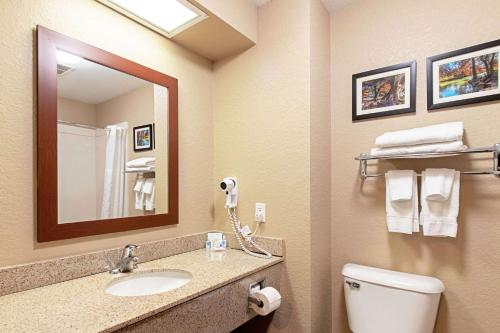 a bathroom with a toilet and a sink and a mirror at Comfort Inn & Suites and Suites Fredericksburg in Fredericksburg