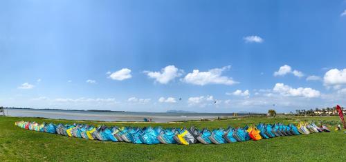 a row of colorful kites on the grass near the water at ProKite Alby Rondina - RESORT - in Birgi Vecchi