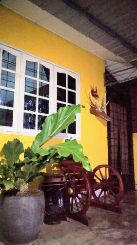 Fotografie z fotogalerie ubytování Homestay Petrajaya Kuching v destinaci Kučing