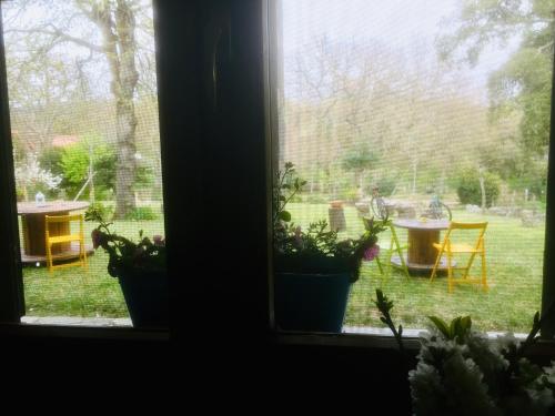 a window with a view of a yard with plants at Agriturismo Pranu in Sorgono