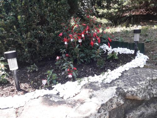 a garden with red flowers and snow on a rock at Apartment 144 in Kněževes