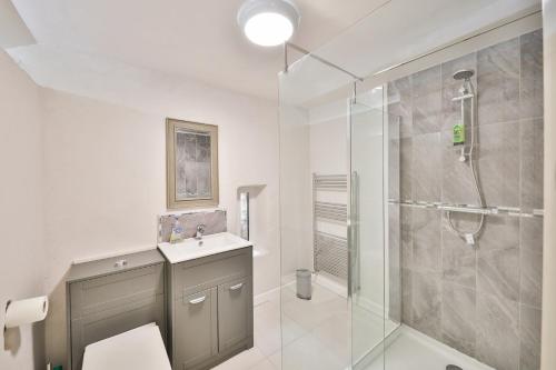 a bathroom with a shower and a toilet and a sink at Black Mountains Barn in Abergavenny