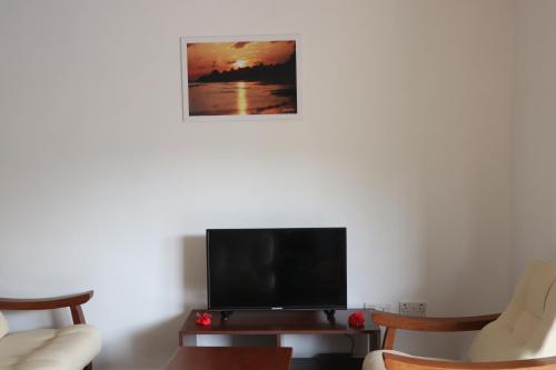 TV a/nebo společenská místnost v ubytování Chez Antoine Apartments