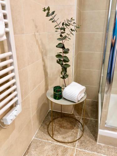 a small table with a plant on it in a bathroom at Bright & modern apartment in the heart of Antibes in Antibes