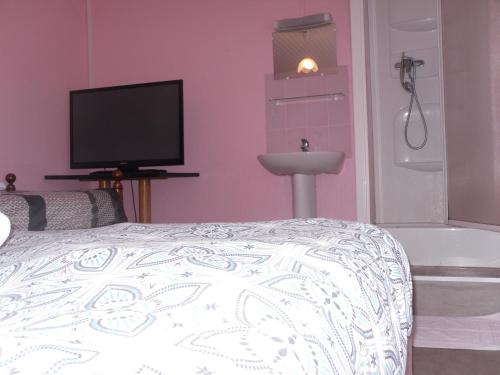 Châlus的住宿－l'escale gourmande，一间卧室配有一张床、一台电视和一个浴缸
