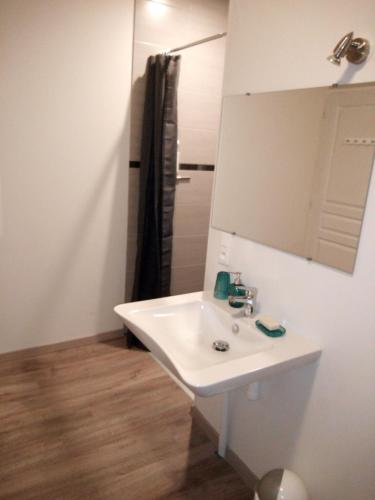 une salle de bain avec un lavabo blanc et une douche dans l'établissement L'impératrice, à Eaux-Bonnes