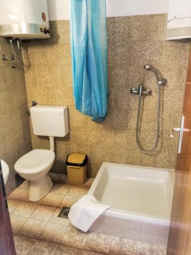 a bathroom with a toilet and a bath tub at Apartman Damir in Sumartin