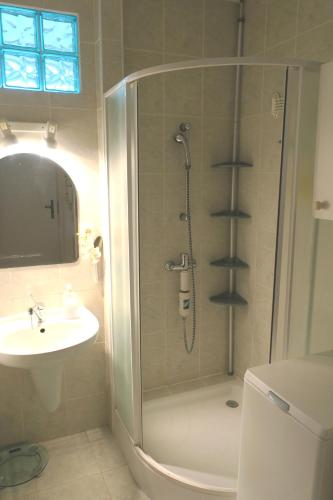 W łazience znajduje się prysznic i umywalka. w obiekcie Cozy Blue Room Prešov w Preszowie