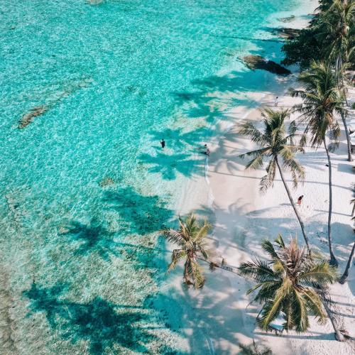 an aerial view of a beach with palm trees at Samura Maldives Guest House Thulusdhoo in Thulusdhoo