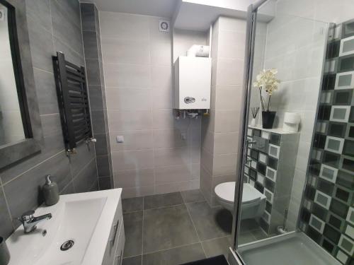 Un baño con ducha, inodoro y lavabo. en ART APARTAMENT MIELNO, en Mielno