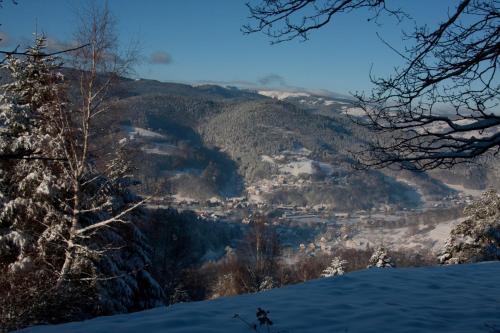 a snow covered mountain with a town in the distance at Petit week end dans la vallée in Breitenbach-Haut-Rhin