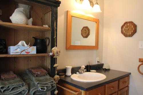a bathroom with a sink and a mirror at Sal's Bed and Breakfast by the Sea in Herring Cove