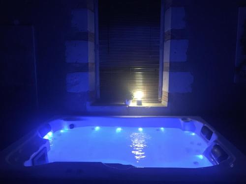 a bath tub in a room with a window at Hôtel & Spa Chai De La Paleine in Le Puy-Notre-Dame