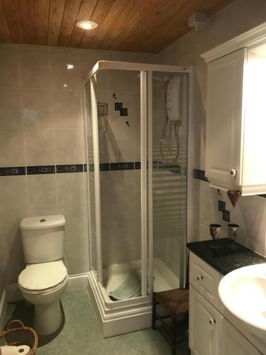 a bathroom with a shower with a toilet and a sink at Jago Cottage in Truro