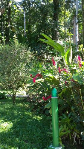 a green pole in the middle of a garden at Toca da Onça in Penedo