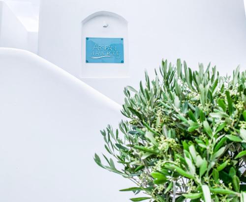 Fotografie z fotogalerie ubytování Aegean of Amorgos v destinaci Katápola