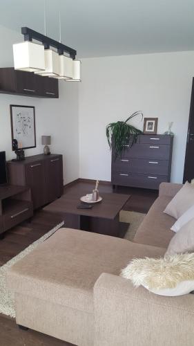 a living room with a couch and a table at Gardino Apartamentai in Šiauliai