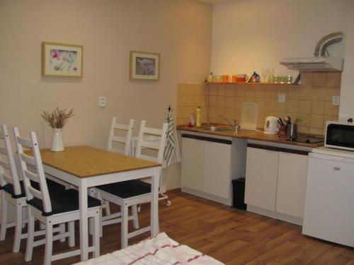 a kitchen with a table and chairs and a sink at Ubytování Sedlařík Mladé Buky in Mladé Buky