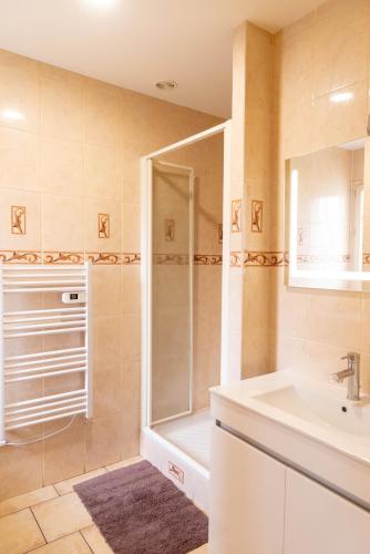 une salle de bain avec douche et lavabo dans l'établissement F2 cozy proche paris, aéroport CDG, à Clichy-sous-Bois