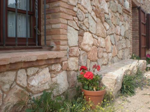 a pot of flowers sitting next to a stone wall at Mas del Salin in Cornudella
