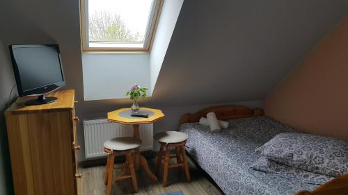 Dormitorio pequeño con cama y TV en Willa Orle Gniazdo, en Biały Kościół