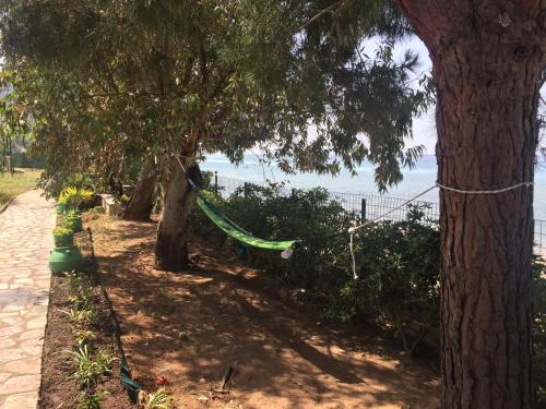a hammock hanging between two trees next to a sidewalk at Front Beach House in Skala Kallirakhis