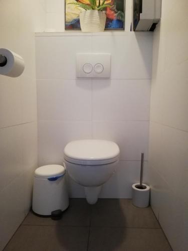 a white bathroom with a toilet and a plant at appartement oostende vlak bij zee in Ostend