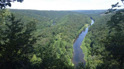 a view of a river in the middle of a forest at L'Eaubergerine in Herbeumont