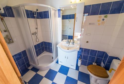 a blue and white bathroom with a shower and a toilet at Pension Fialka in Český Krumlov