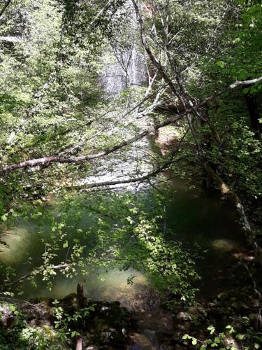 a stream in a wooded area with a body of water at Kuca za odmor Luna in Buje