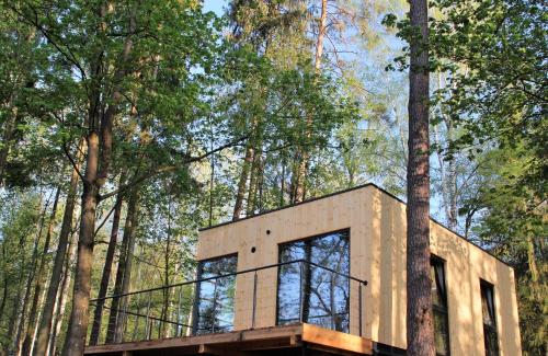 ein Haus mitten im Wald in der Unterkunft Kaletka - cisza i przyroda in Iława