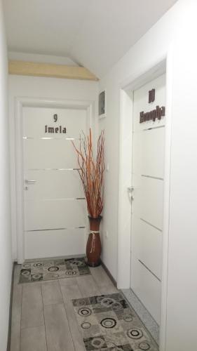 Guest House Villa Herbarium – Photos 2