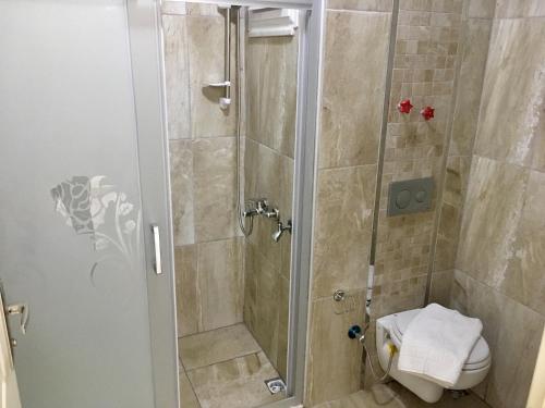 a bathroom with a shower and a toilet at Kaya House Daily Flat in Ortaca