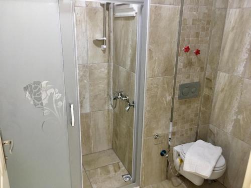 a bathroom with a shower and a toilet at Kaya Houses Günlük Daire in Ortaca