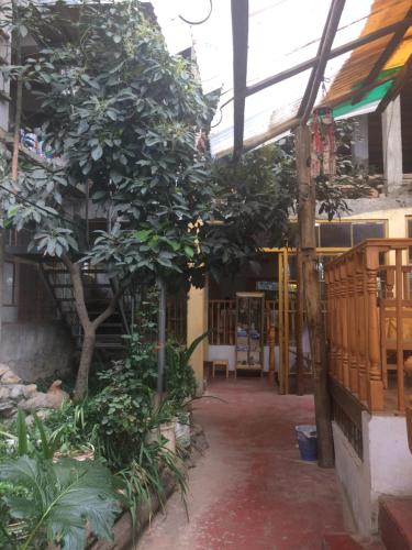 Zahrada ubytování Banderas B&B