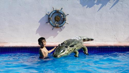 Zvířata v hotelu nebo okolí