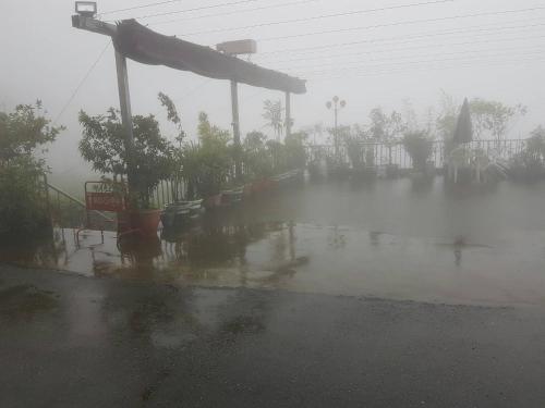 a rain soaked yard with a gazebo in the fog at Ming Yang B&B in Fenchihu