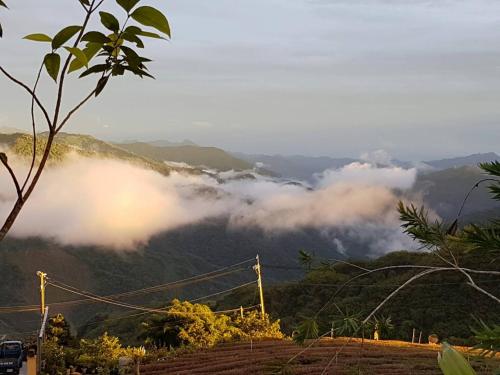 a view of a mountain with clouds in the valley at Ming Yang B&B in Fenchihu