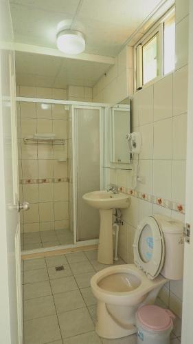 a bathroom with a toilet and a sink at Dongyin Homestay連江縣民宿054號 in Dongyin