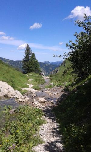 a rocky path leading to a river on a mountain at Alpenappartement Kleiner in Tannheim