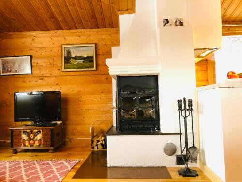 Vasa Ski Lodge في مورا: غرفة معيشة مع موقد وتلفزيون