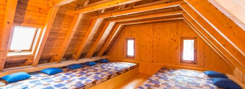 Refugi del Fornet في Alós d'Isil: غرفة فارغة وكراسي زرقاء في منزل خشبي