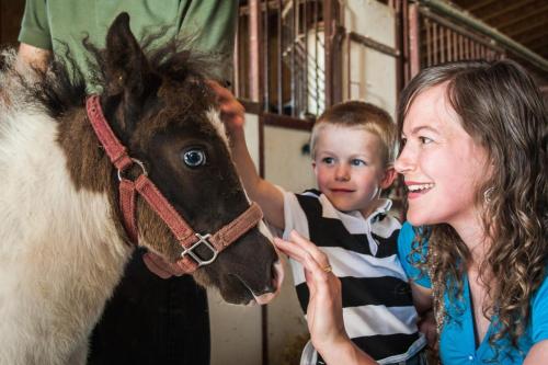 a woman and a child standing next to a miniature donkey at Blue Gate Garden Inn in Shipshewana