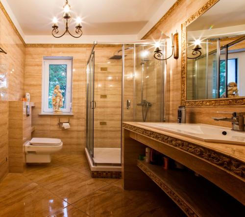 a bathroom with a sink and a shower and a toilet at Apartament Antoni Pogorzelica in Pogorzelica