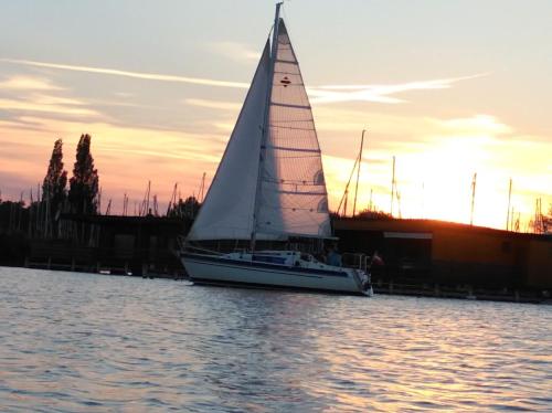 a sail boat in the water at sunset at Pfahlbau Sunset I Toplage Elektroboot inklusive in Rust