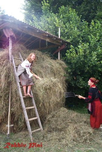 a girl standing on a ladder next to a pile of hay at Rakhiv Plai in Rakhiv