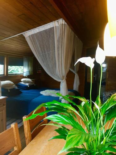 a bedroom with a bed and a table with a plant at B&B De Pauw - Country Home Cooking in Graft