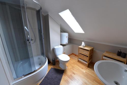 a bathroom with a shower and a toilet and a sink at Apartament u Robsona in Wilkasy